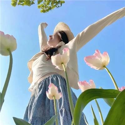 鸭子的天空